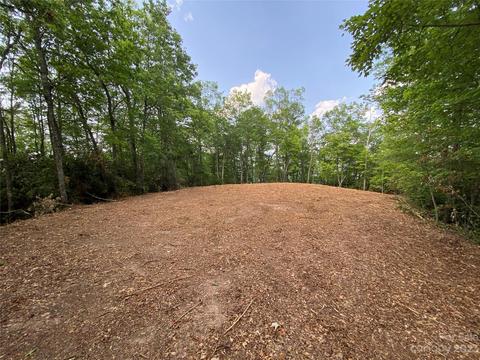 00 Tomahawk Trl, Sylva, NC 28779 photo 6