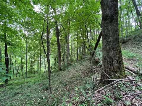Off Rock House Road, Hot Springs, NC 28743