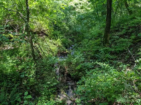 1914 Thomas Branch Rd, Marshall, NC 28753 photo 2