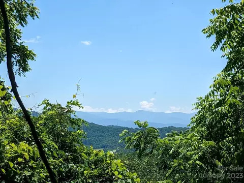 1914 Thomas Branch Rd, Marshall, NC 28753