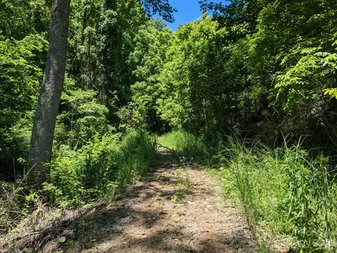 1914 Thomas Branch Rd, Marshall, NC 28753 photo 19