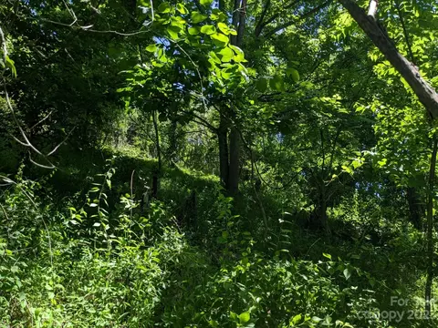 1914 Thomas Branch Rd, Marshall, NC 28753 photo 6