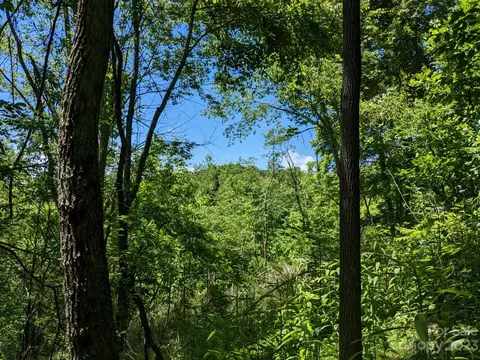 1914 Thomas Branch Rd, Marshall, NC 28753 photo 14