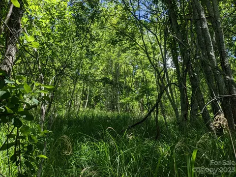 1914 Thomas Branch Rd, Marshall, NC 28753 photo 8