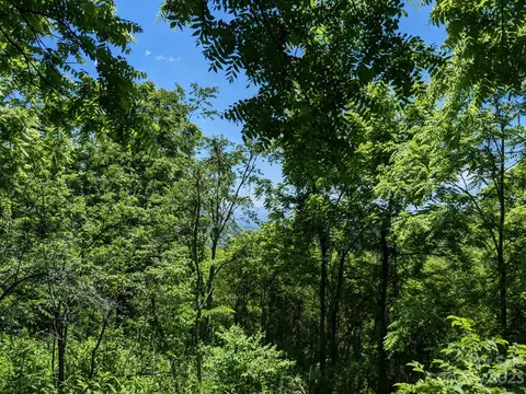 1914 Thomas Branch Rd, Marshall, NC 28753 photo 9