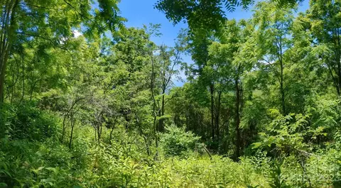 1914 Thomas Branch Rd, Marshall, NC 28753 photo 13