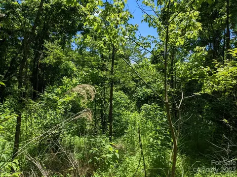 1914 Thomas Branch Rd, Marshall, NC 28753 photo 11