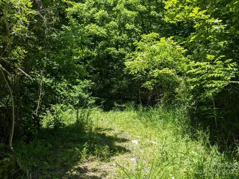 1914 Thomas Branch Rd, Marshall, NC 28753 photo 18