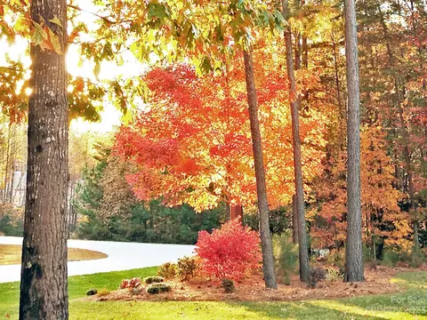 7045 Hawk Shadow Ln, Denver, NC 28037 photo 37