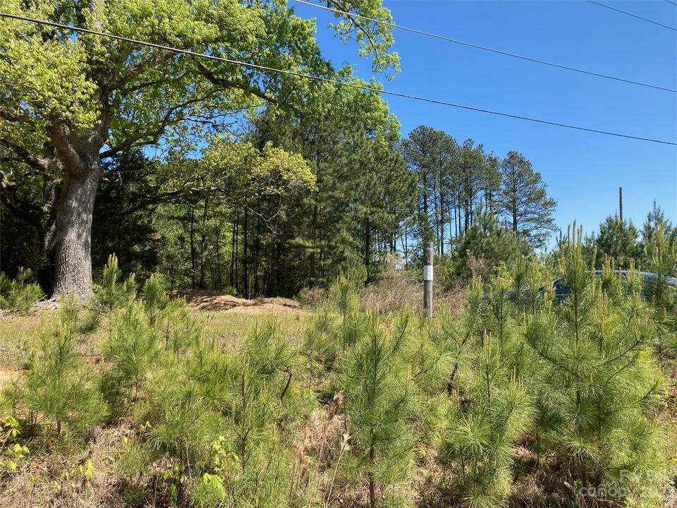  111 Weddington Rd, Weddington, NC 28104 photo 1