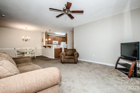 9019 Mcdowell Creek Ct, Cornelius, NC 28031 photo 8