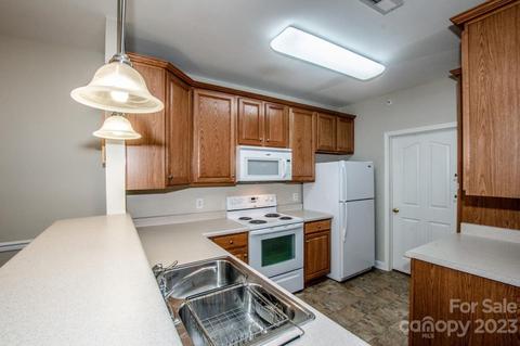 9019 Mcdowell Creek Ct, Cornelius, NC 28031 photo 9
