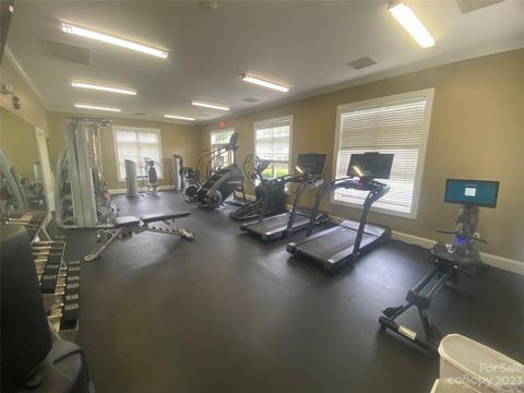 9019 Mcdowell Creek Ct, Cornelius, NC 28031 photo 20