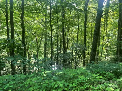 Undisclosed, Bakersville, NC 28705