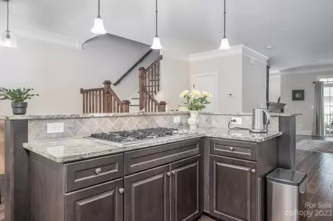 739 Amalfi Dr, Davidson, NC 28036 photo 4