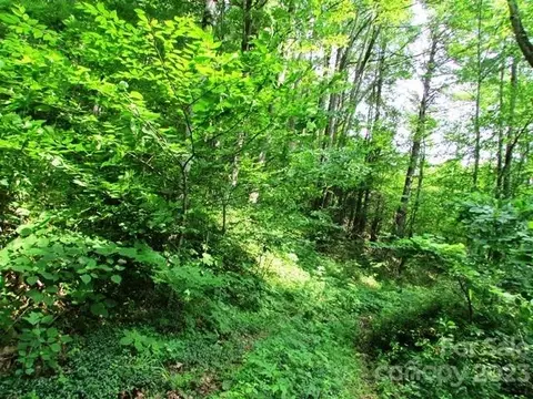 16 Upper Browns Creek Road #16, Burnsville, NC 28714