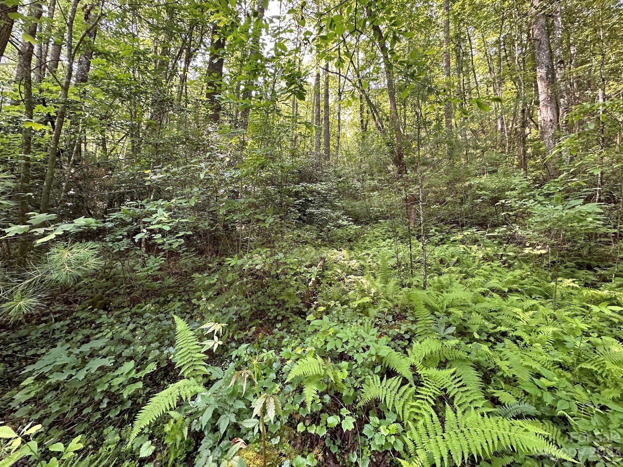 17 Trillium Ln  