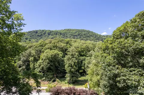 55 Riverby Ln, Tryon, NC 28782 photo 29