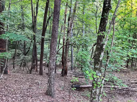 000 Hawks Ter, Lake Lure, NC 28746