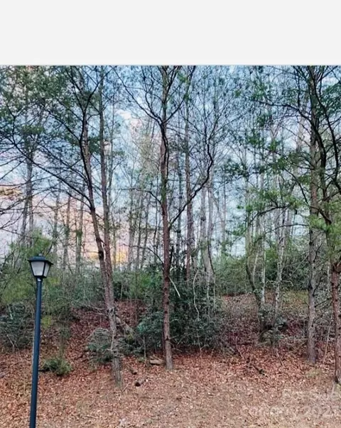 00 Plantation Dr, Marion, NC 28752