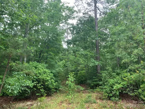 1798 Off Rd, Dysartsville, NC 28761