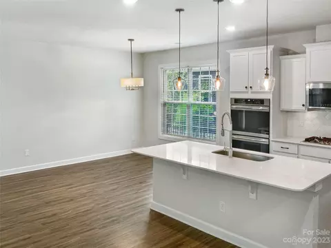 412 Hudson Pl, Davidson, NC 28036 photo 21