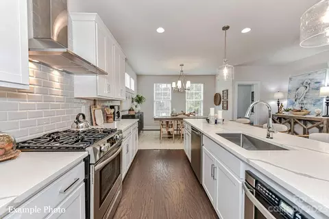 735 Beaty 20 St #20, Davidson, NC 28036 photo 2