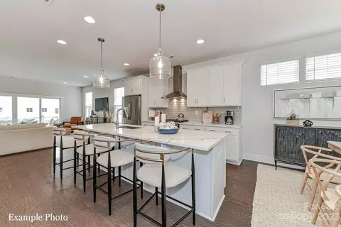 735 Beaty 20 St #20, Davidson, NC 28036 photo 3