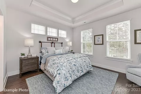 735 Beaty 20 St #20, Davidson, NC 28036 photo 8