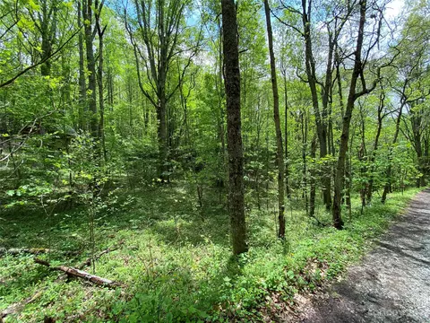 Rhoneys View Road, Newland, NC 28657