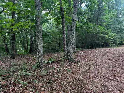 46 N Park Ln, Mill Spring, NC 28756 photo 5