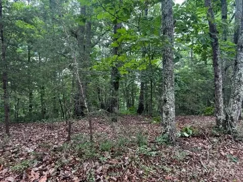 46 N Park Ln, Mill Spring, NC 28756 photo 3