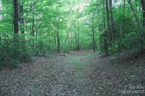 00 Lake Adger Pkwy, Mill Spring, NC 28756