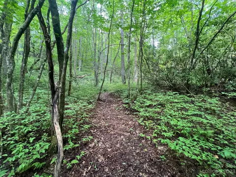0000 Marshall Lake Rd, Cedar Mountain, NC 28718