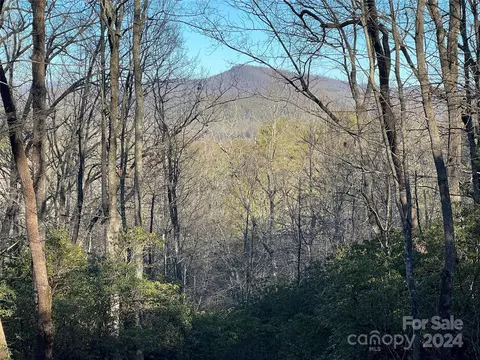 9999 Marshall Lake Rd, Cedar Mountain, NC 28718
