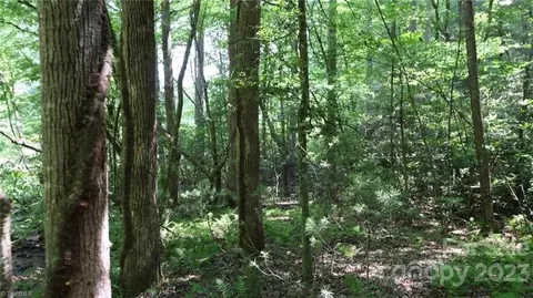 0001 Siffords Branch Rd, Purlear, NC 28665 photo 6