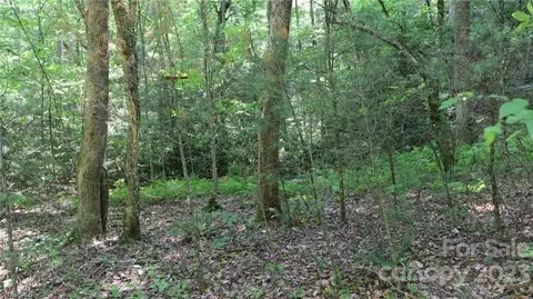 0001 Siffords Branch Rd, Purlear, NC 28665 photo 8