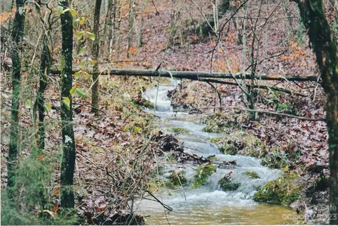 00 High Rock Crusher Rd, Wadesboro, NC 28170