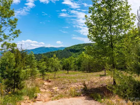 Harris Court, Mill Spring, NC 28756