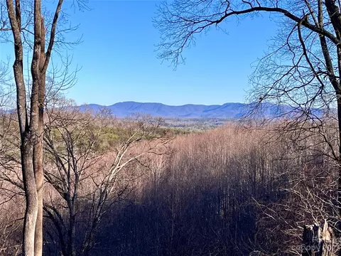 Black Lark Drive, Marion, NC 28752