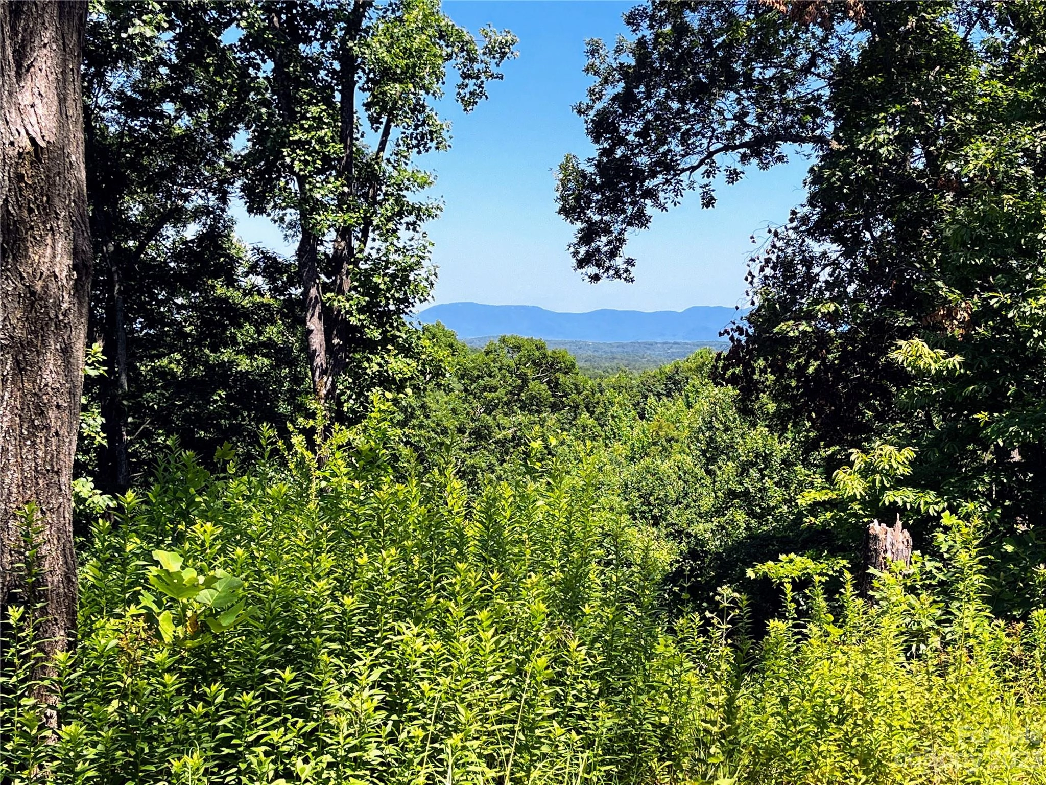 Black Lark 178 Dr Unit 178