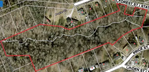 Forest Street, Clover, SC 29710