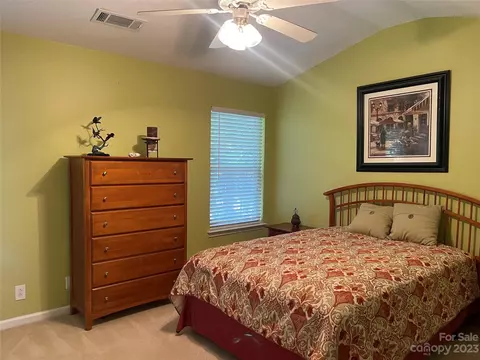7471 Bluff Point Ln, Denver, NC 28037 photo 18