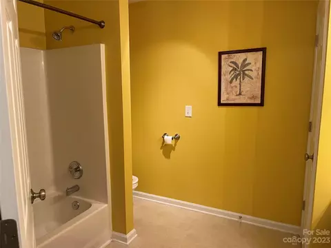 7471 Bluff Point Ln, Denver, NC 28037 photo 20