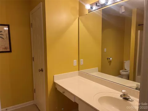 7471 Bluff Point Ln, Denver, NC 28037 photo 19