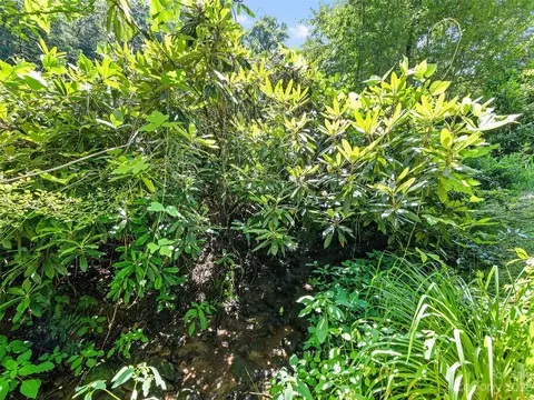 74 Ripple Run, Sylva, NC 28779 photo 30