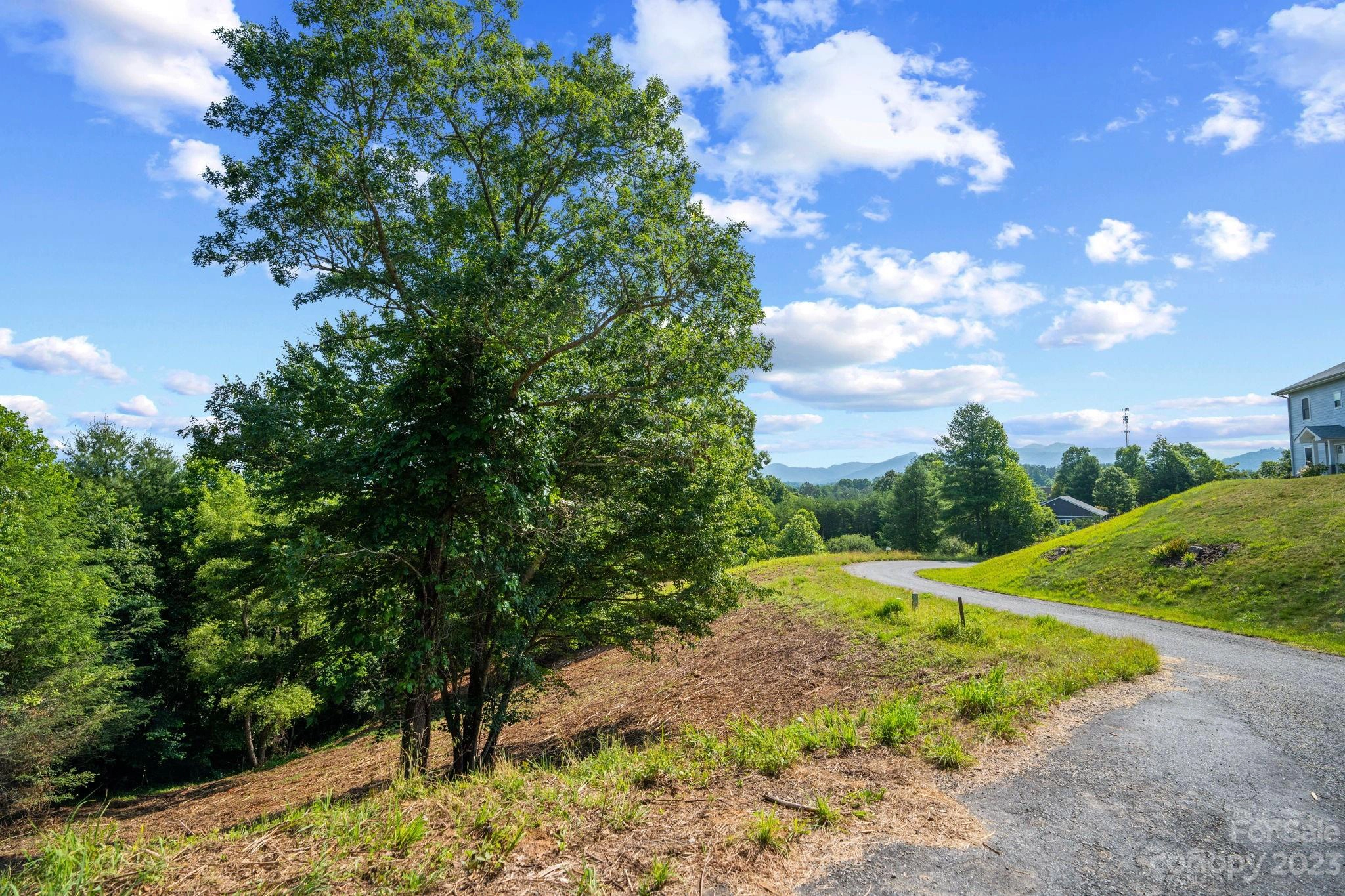 Ginger Spice 26 27 Trail Unit 26 27  