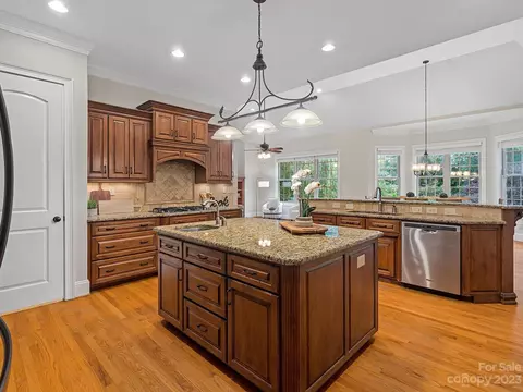439 Langston Place Dr, Fort Mill, SC 29708 photo 12