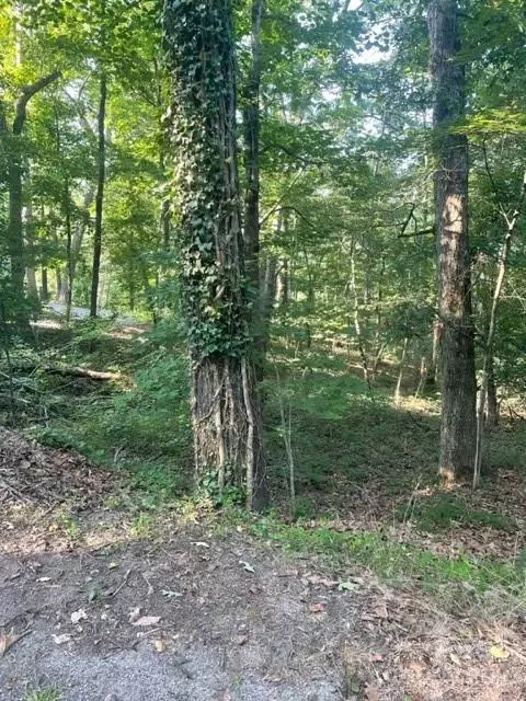 0 Travelers Rest Ln, Lake Lure, NC 28746