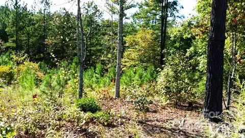 3187 Panoramic Vista Ne 62 Ct NE #62, Connelly Springs, NC 28612